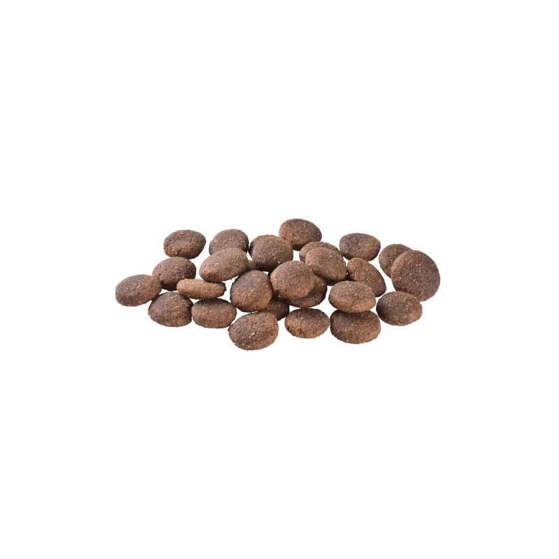 Сухий корм для собак Brit Care Dog Grain-free Adult Large Breed беззерновий з лососем 3 кг (8595602558902)