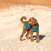 Жилет для тварин Pet Fashion E.Vest морська хвиля S-M (4823082424146)