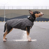 Жилет для тварин Pet Fashion "E.Vest" XL сірий (4823082424429)