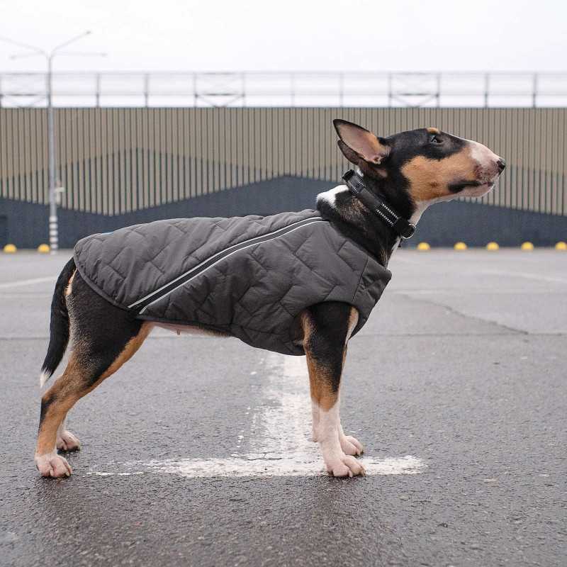 Жилет для тварин Pet Fashion "E.Vest" XL сірий (4823082424429)