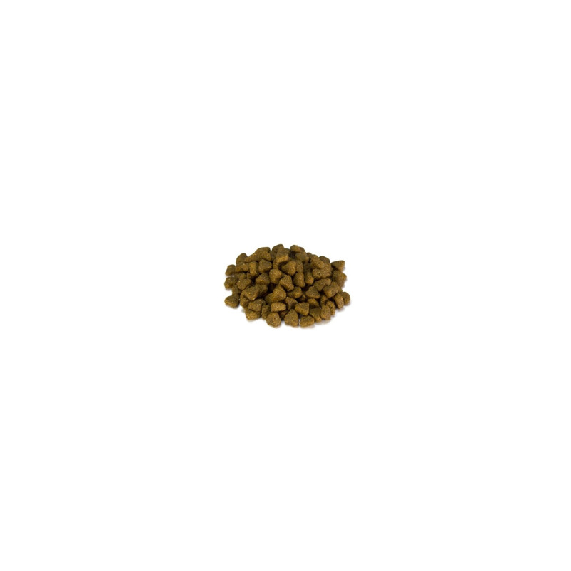 Сухий корм для собак Arquivet Fresh Meat Dog Adult Mini 10 кг (8435117892361)