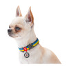 Нашийник для тварин WAUDOG Nylon з QR паспортом Colors of freedom металева пряжка-фастекс M (4506-4020)