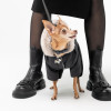 Костюм для тварин Pet Fashion BLACK S (4823082428632)