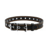 Нашийник для тварин Collar безрозмірний 20 мм 50 см (чорний) (01511)