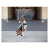 Курточка для тварин Airy Vest XS чорна (15411)