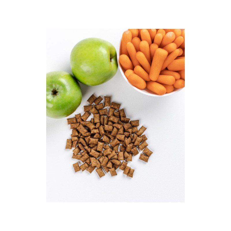 Ласощі для котів Savory Snack Dental Care 60 г (подушечки для гігієни зубів) (4820232631478)