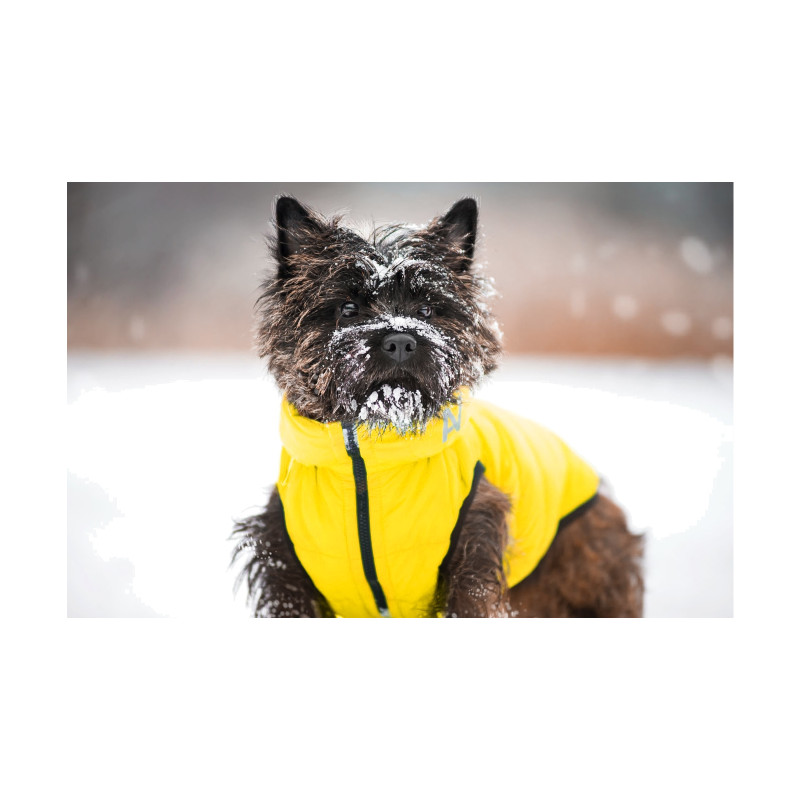 Курточка для тварин Collar AiryVest "Colors of freedom" M 45 (4446-4020)