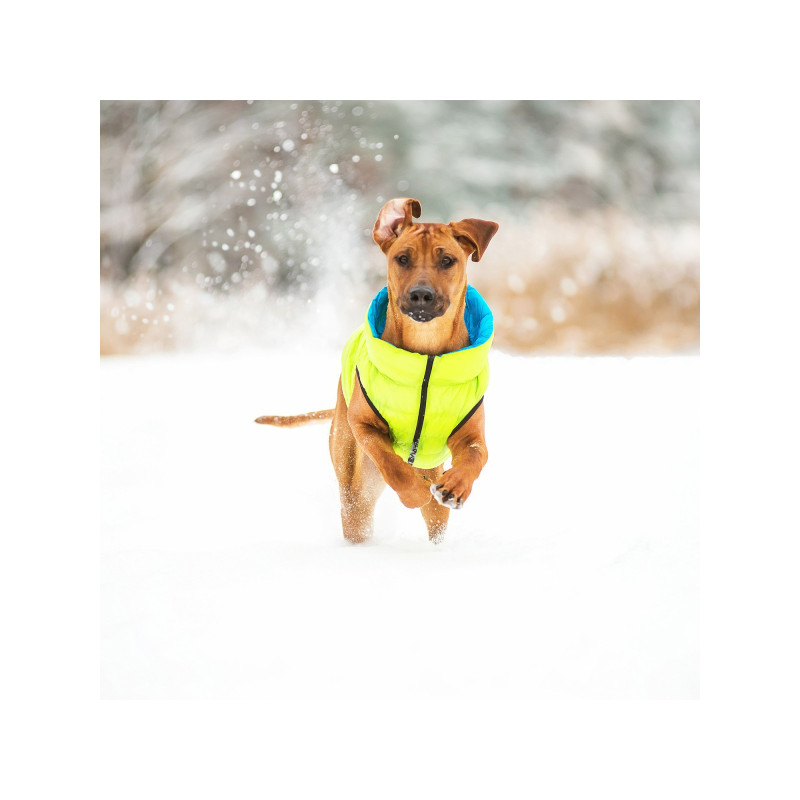 Курточка для тварин Airy Vest двостороння XS 30 салатово-блакитна (1592)