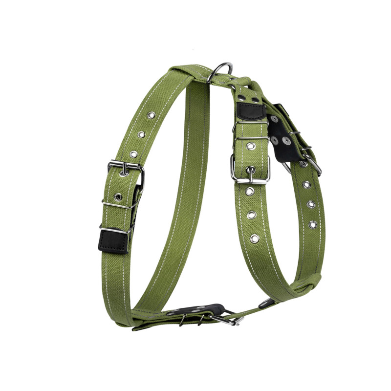 Шлея для собак Collar для великих собак N2 68-91 см зелена (0646)