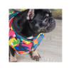Жилет для тварин Pet Fashion "SPRING" XS принт (4823082420520)