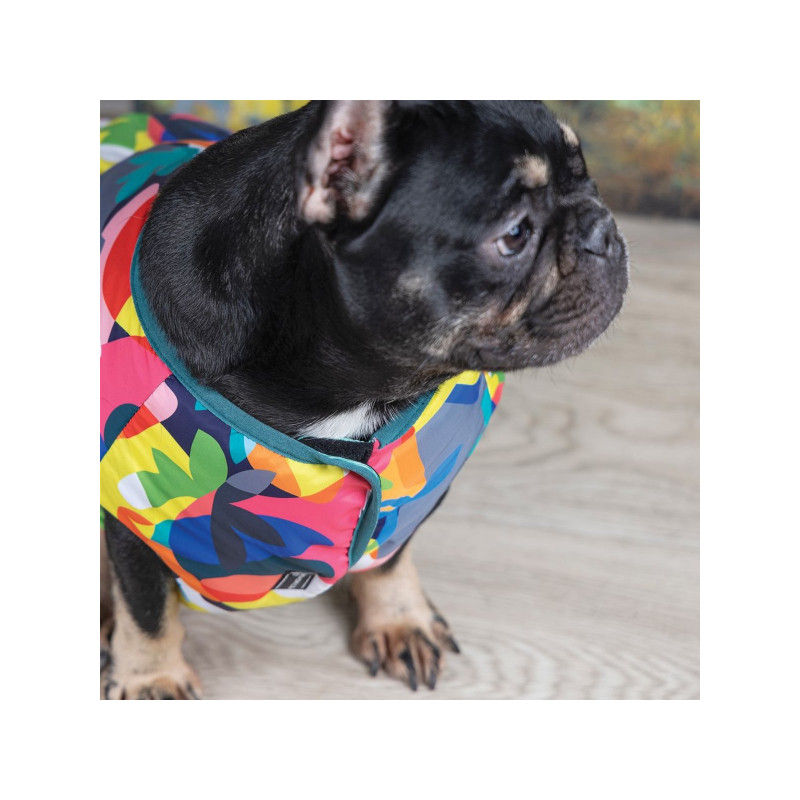 Жилет для тварин Pet Fashion "SPRING" XS принт (4823082420520)