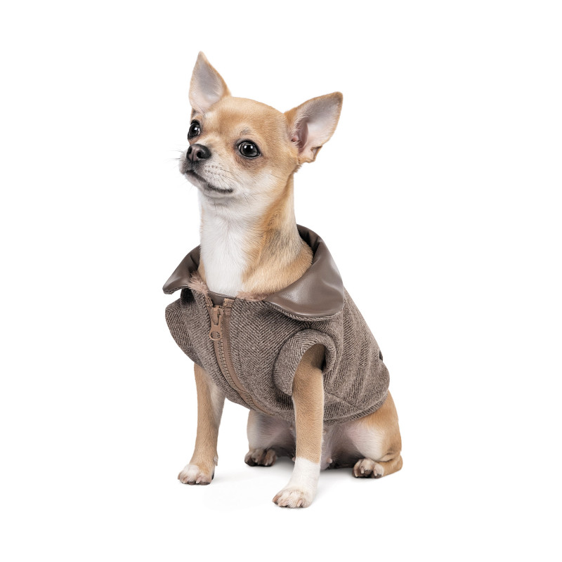 Жилет для тварин Pet Fashion Harry М (4823082430123)