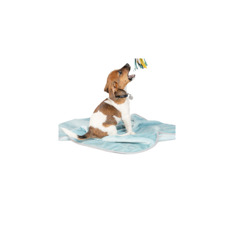 Килимок для тварин Pet Fashion Bliss 1 77х60 см м'ятний (4823082419043)