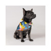 Бандана для тварин Pet Fashion "WEEKEND" XS-S принт (4823082421084)