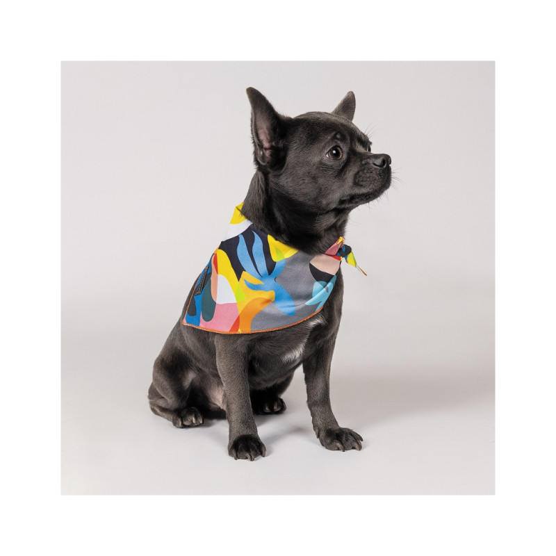 Бандана для тварин Pet Fashion "WEEKEND" XS-S принт (4823082421084)