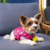 Бомбер для тварин Pet Fashion Grace S (4823082430161)