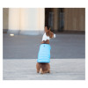 Курточка для тварин Airy Vest XXS блакитна (15402)