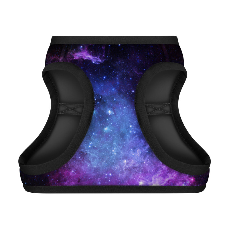 Шлея для собак WAUDOG Clothes з QR-паспортом "NASA21" ХS4 (2904-0148)
