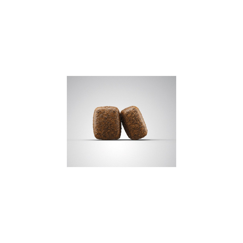 Сухий корм для собак Josera Nature Energetic 900 г (4032254745341)