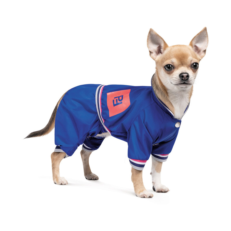 Дощовик для тварин Pet Fashion Silver ХS2 (4823082429912)