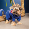 Дощовик для тварин Pet Fashion Silver ХS2 (4823082429912)