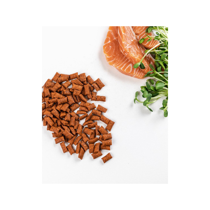 Ласощі для котів Savory Snack Salmon 60 г (подушечки з лососем) (4820232631454)