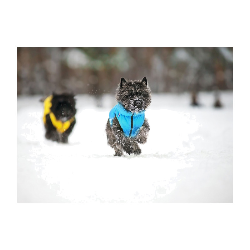 Курточка для тварин Collar AiryVest "Colors of freedom" M 50 (4448-4020)