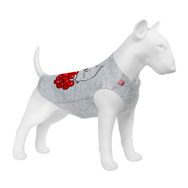 Борцівка для тварин WAUDOG Clothes "Калина" XS25 (292-0228)