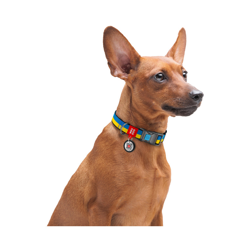 Нашийник для тварин WAUDOG Nylon з QR паспортом Colors of freedom пластиковий фастекс L (4503-4020)