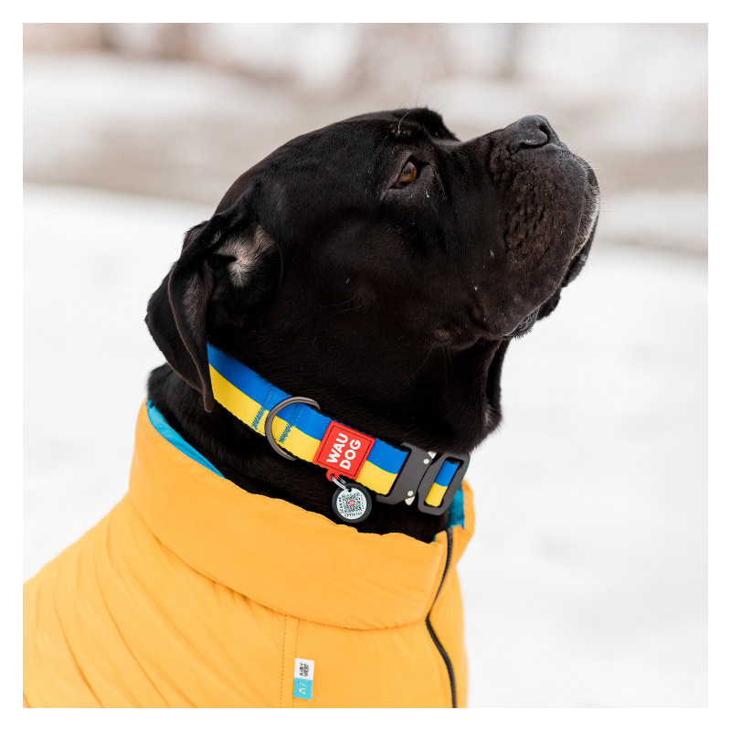 Нашийник для тварин WAUDOG Nylon з QR паспортом Colors of freedom пластиковий фастекс L (4503-4020)