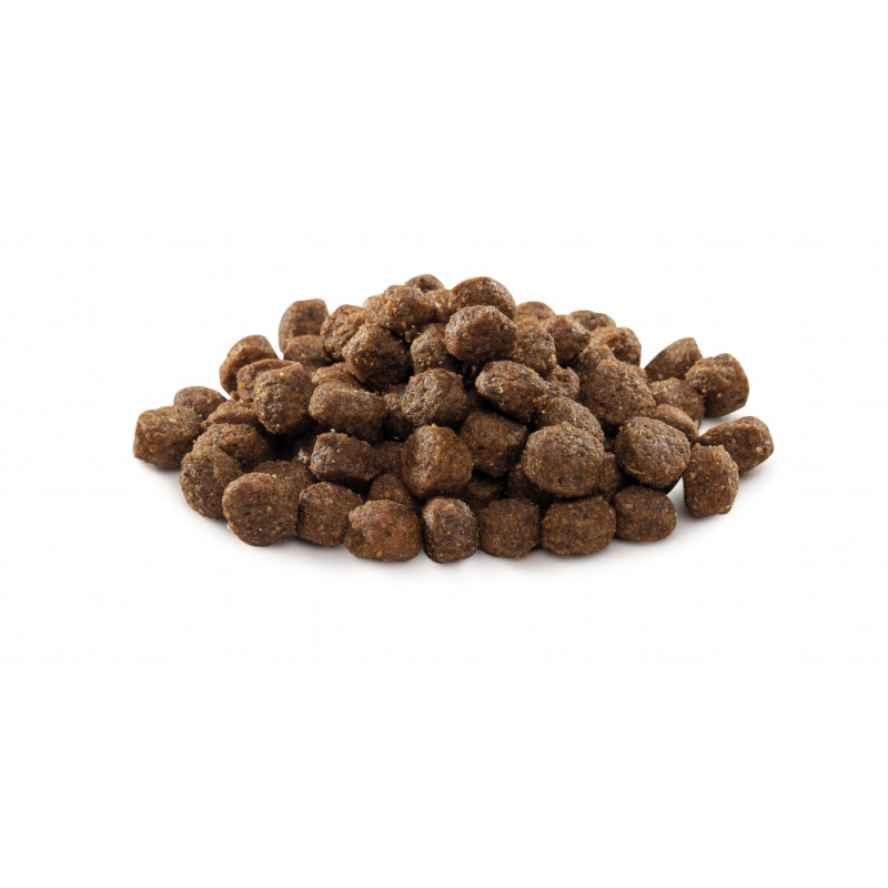 Сухий корм для собак Brit Premium Dog Junior S 8 кг (8595602526246)