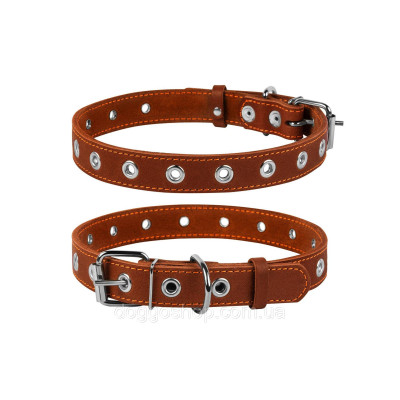 Нашийник для тварин Collar безрозмірний 35 мм 69 см (коричневий) (02956)