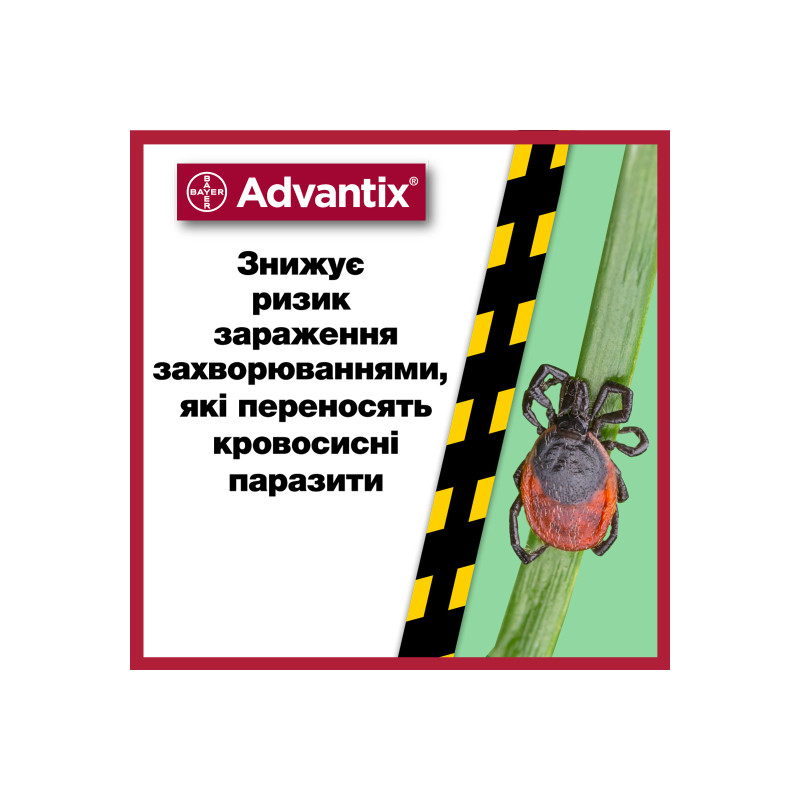 Краплі для тварин Bayer Адвантікс від заражень екто паразитами для собак понад 25 кг 4/4.0 мл (4007221047254)