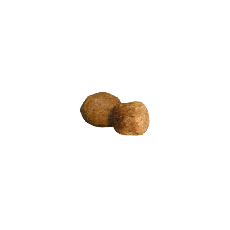 Сухий корм для собак Green Petfood InsectDog Sensitive 900 г (4032254748076)