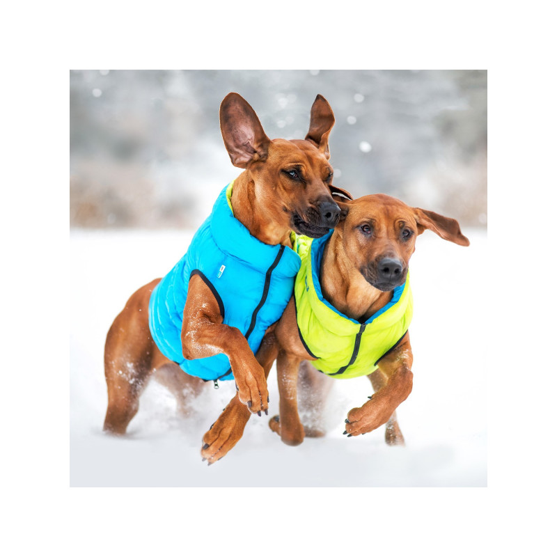 Курточка для тварин Airy Vest двостороння XS 25 салатово-блакитна (1597)