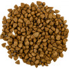 Сухий корм для кішок Savory Adult Cat Steril Fresh Lamb and Chicken 8 кг (4820232630129)
