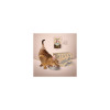 Вологий корм для кішок Club 4 Paws Selection Плюс Шматочки з кроликом та індичкою в соусі 80 г (4820215368001)