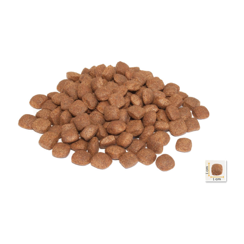 Сухий корм для собак BonaCibo Puppy Lamb&Rice 15 кг (8694686405727)