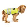 Жилет для тварин Pet Fashion "Yellow Vest" L (4823082417209)