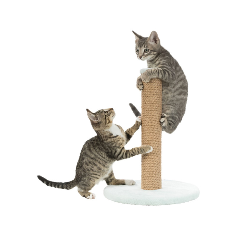Дряпка (кігтеточка) для котів Trixie Junior Стовпчик 30х42 см м'ятна (4011905429328)