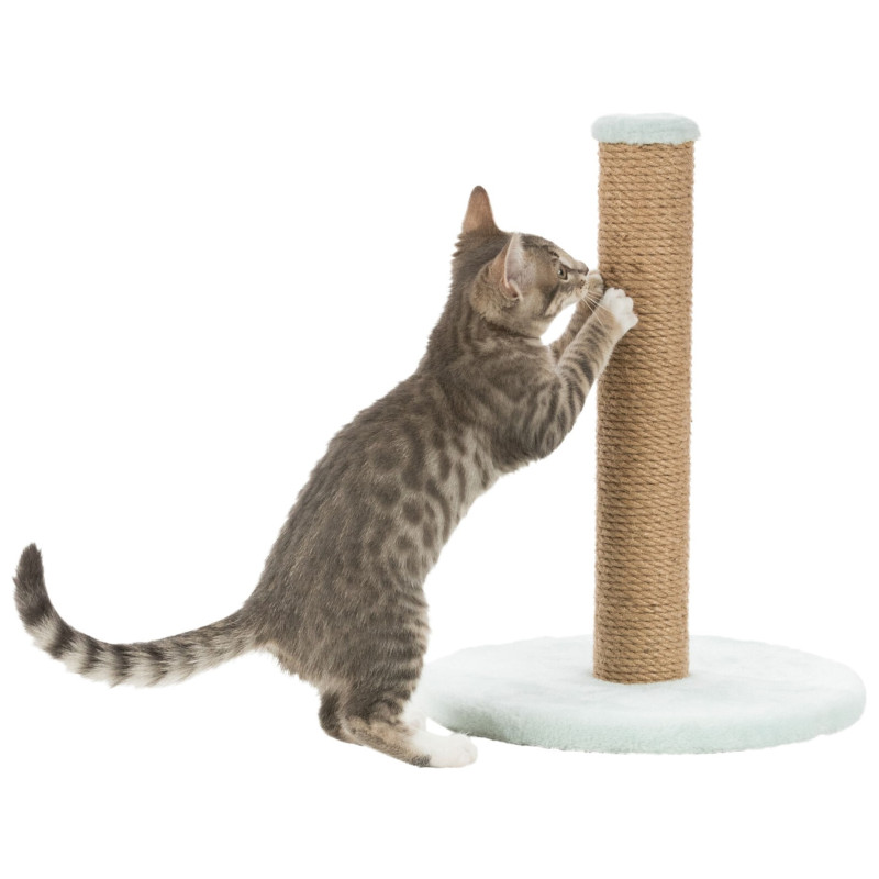 Дряпка (кігтеточка) для котів Trixie Junior Стовпчик 30х42 см м'ятна (4011905429328)