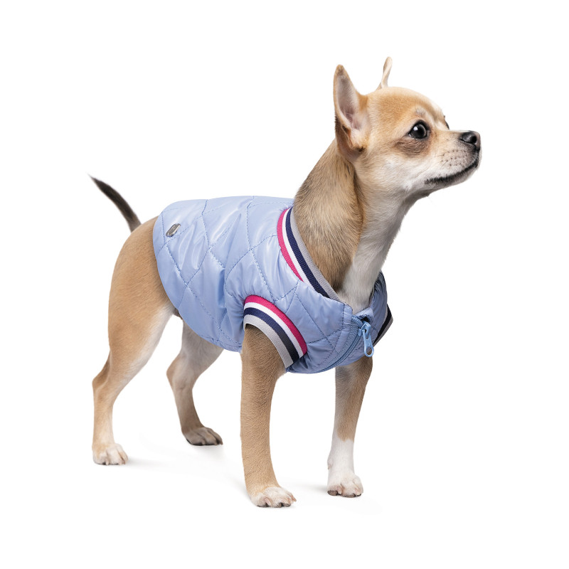 Бомбер для тварин Pet Fashion Spike XS2 (4823082430215)