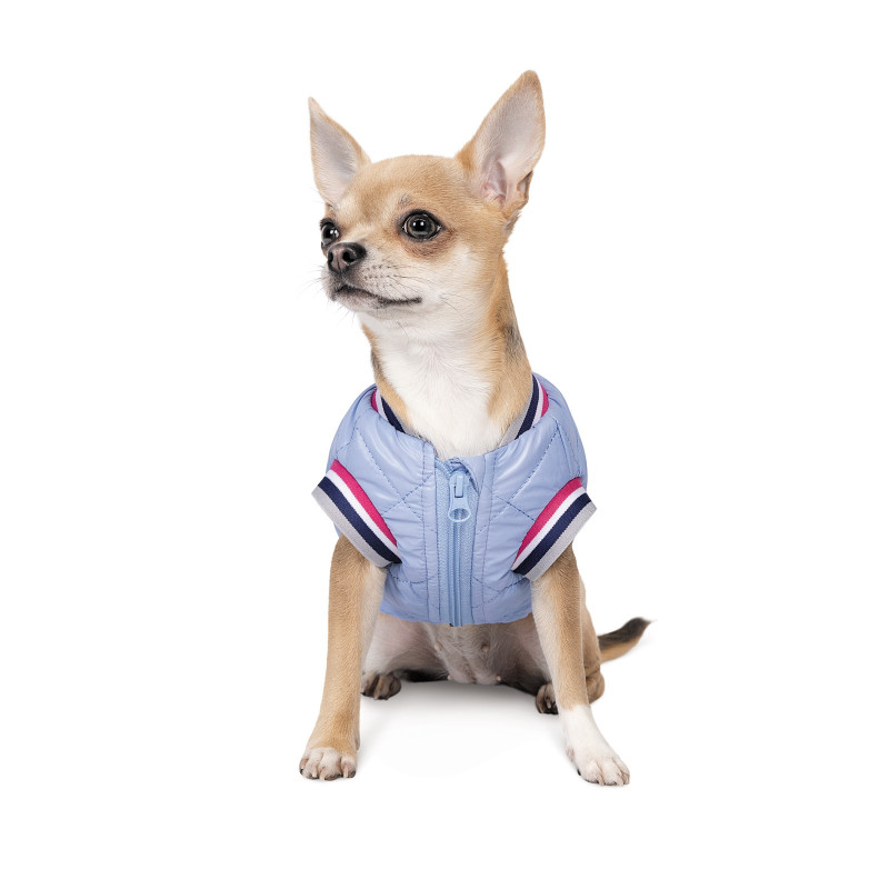 Бомбер для тварин Pet Fashion Spike XS2 (4823082430215)