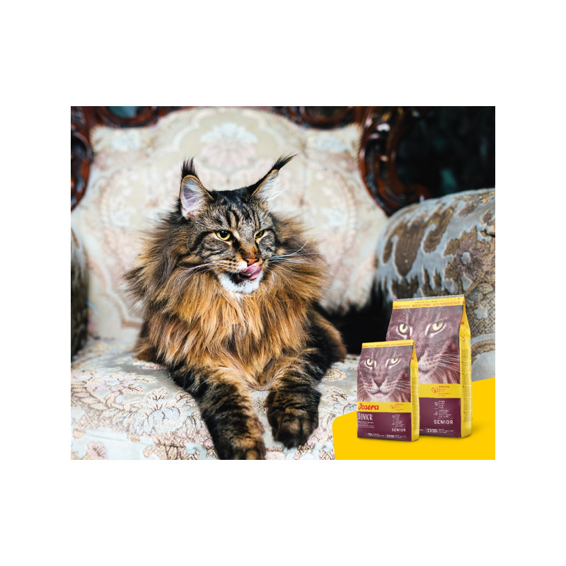 Сухий корм для кішок Josera Senior 2 кг (4032254757832)