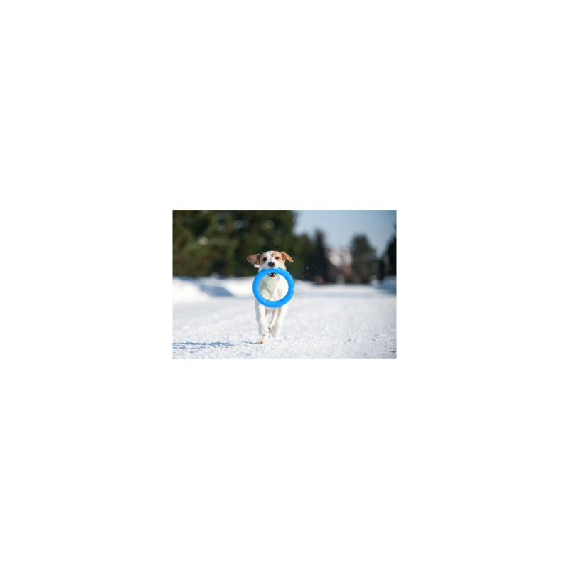 Іграшка для собак Collar PitchDog Кільце для апортування 20 см блакитне (62372)