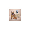 Вологий корм для собак Club 4 Paws Selection Плюс Шматочки з яловичиною та овочами в соусі 85 г (4820215368063)