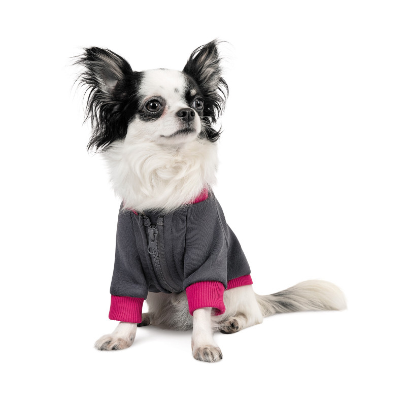 Толстовка для тварин Pet Fashion BIM S (4823082430307)