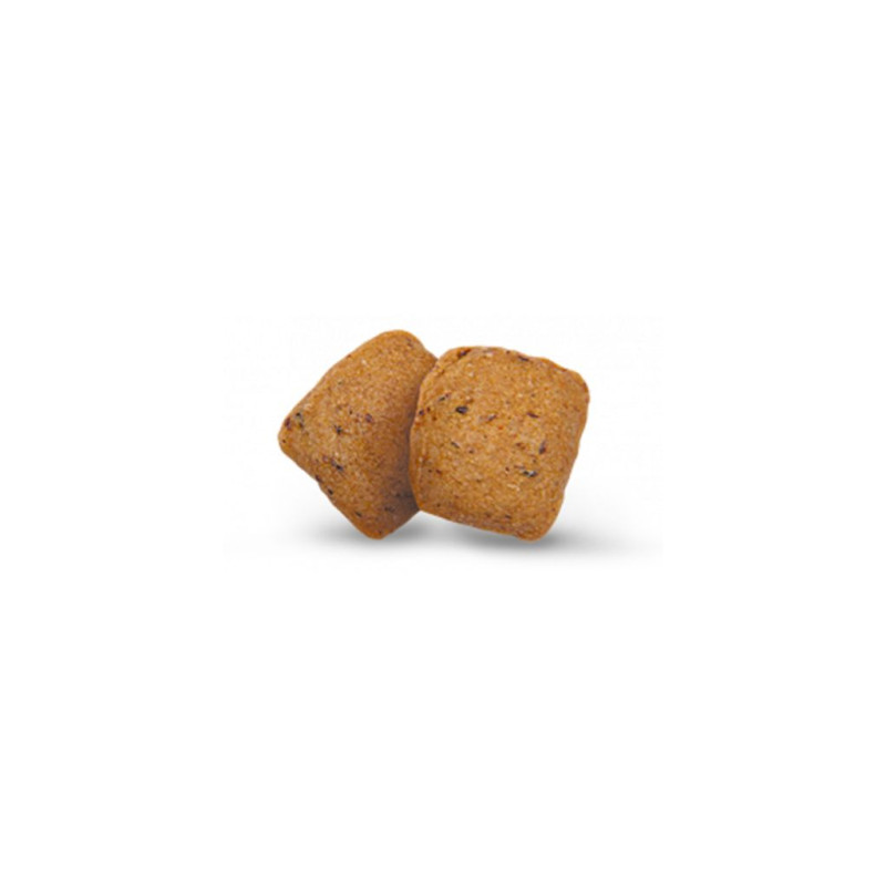Сухий корм для собак Green Petfood InsectDog Hypoallergen 10 кг (4032254748069)