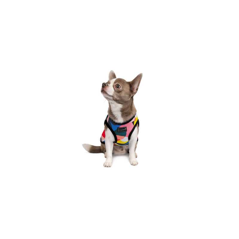 Борцівка для тварин Pet Fashion Cool M різнобарвна (4823082420193)