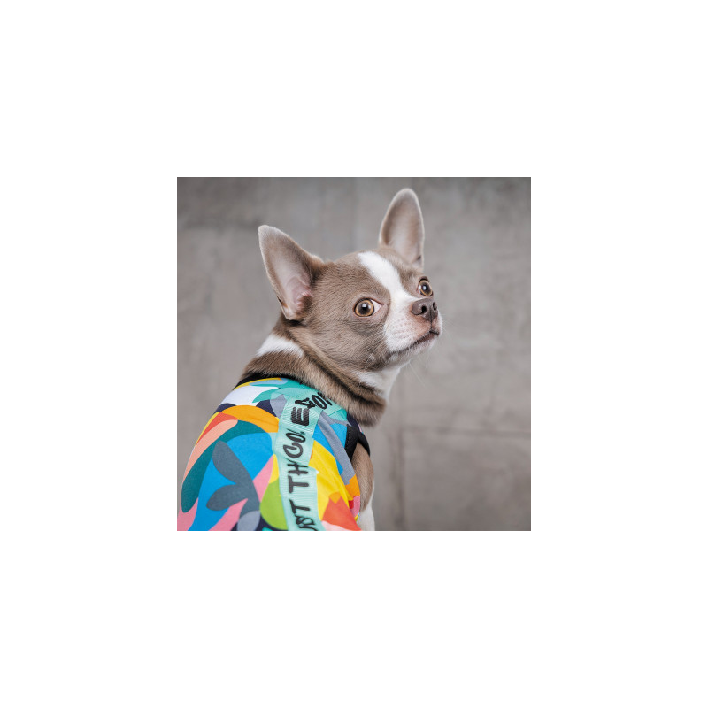 Борцівка для тварин Pet Fashion Cool M різнобарвна (4823082420193)